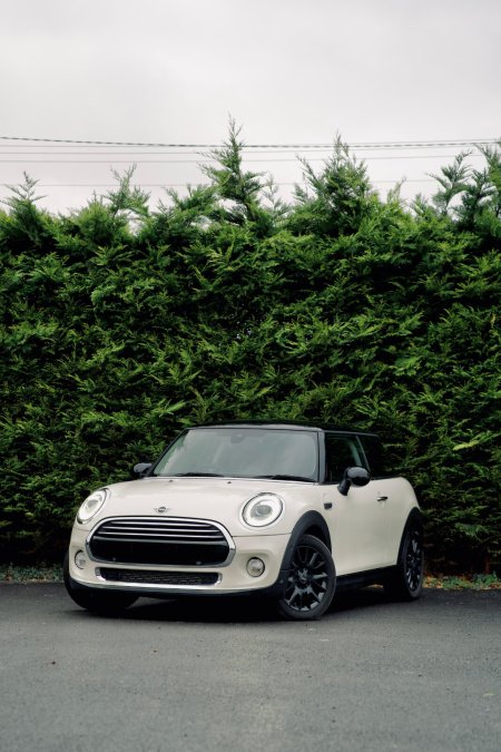 2019 Mini Cooper