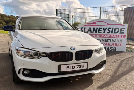 2015 BMW 4-Series - photo 2