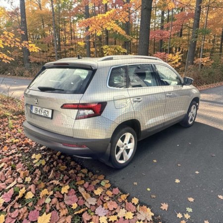 2019 Skoda Karoq - photo 13
