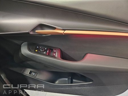 2026 Cupra Tavascan - photo 29