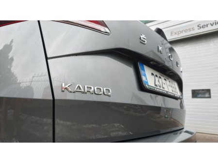 2023 Skoda Karoq - photo 6