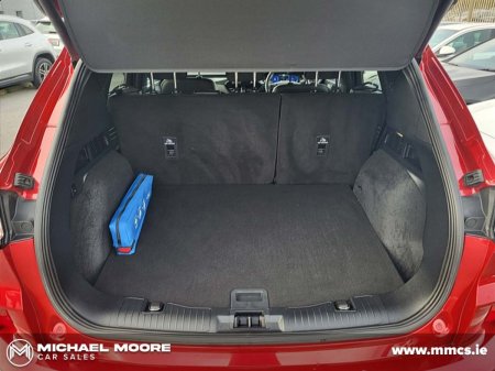 2023 Ford Kuga - photo 10