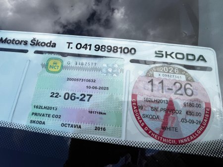 2016 Skoda Octavia - photo 29