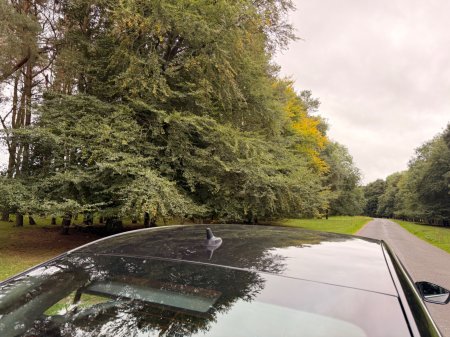 2019 Skoda Superb - photo 48