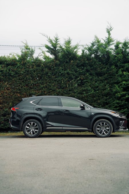 2019 Lexus NX - photo 6