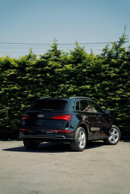 2020 Audi Q5 - photo 5