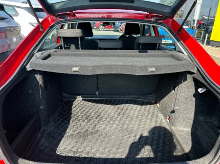 2019 Skoda Octavia - photo 12