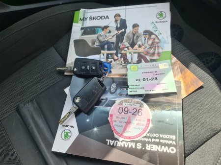 2018 Skoda Octavia - photo 15