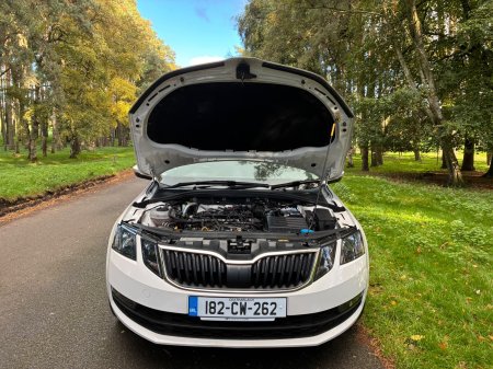 2018 Skoda Octavia - photo 27