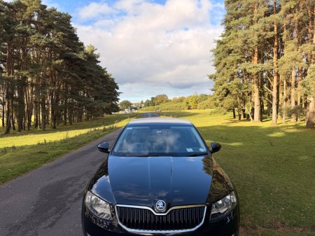2017 Skoda Octavia - photo 38