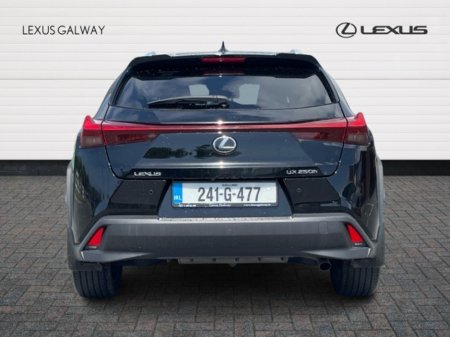 2024 Lexus UX - photo 5