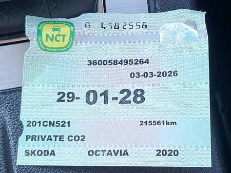 2020 Skoda Octavia - photo 12