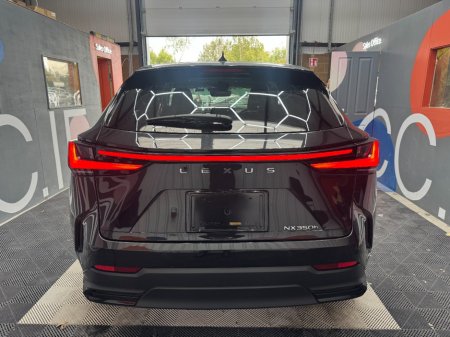 2023 Lexus NX - photo 4
