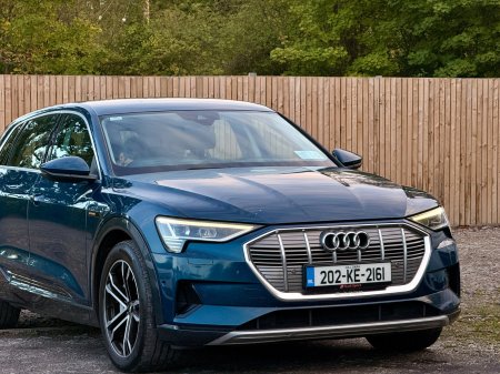 2020 Audi e-tron - photo 10
