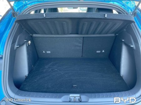 2024 BYD ATTO 3 - photo 15