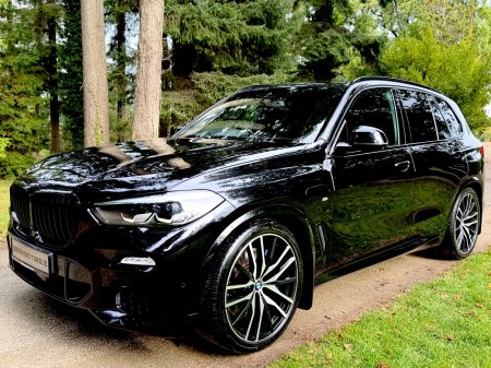2019 BMW X5 - photo 44