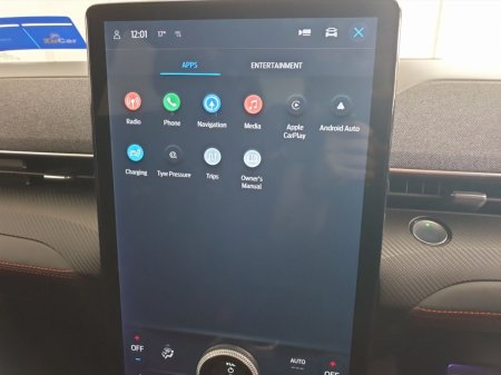 2022 Ford Mustang Mach-E - photo 31