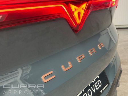 2026 Cupra Terramar - photo 22