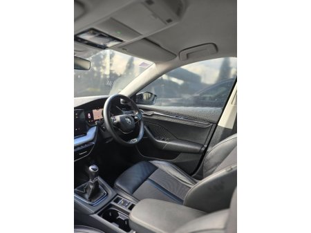 2023 Skoda Octavia - photo 3