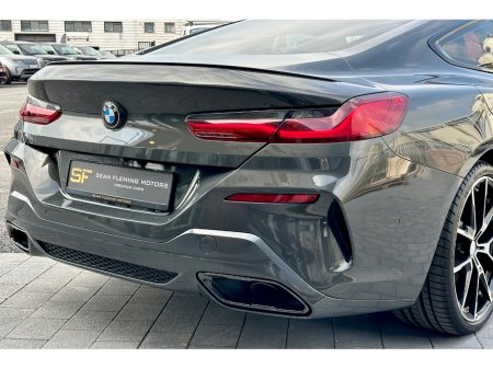 2019 BMW 8-Series - photo 6