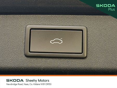 2024 Skoda Kodiaq - photo 10