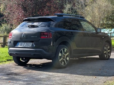 2018 Citroen C4 Cactus - photo 3