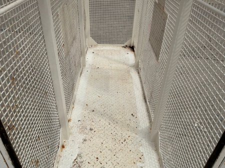0 Other Other - photo 11