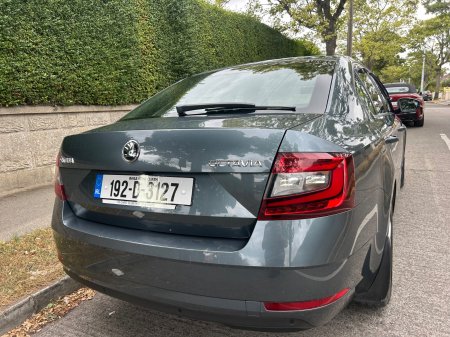 2019 Skoda Octavia - photo 8