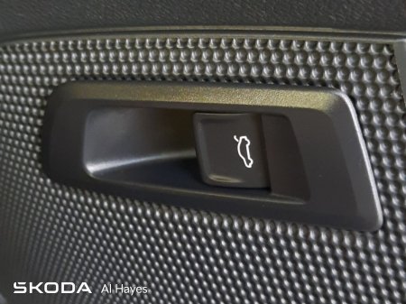 2021 Skoda Kodiaq - photo 3
