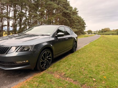 2018 Skoda Octavia - photo 41