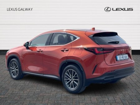 2022 Lexus NX - photo 2