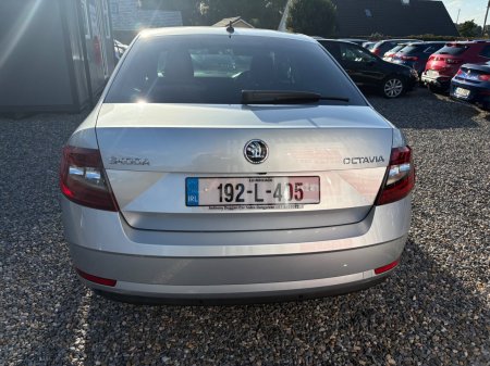 2019 Skoda Octavia - photo 4