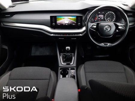 2023 Skoda Octavia - photo 2