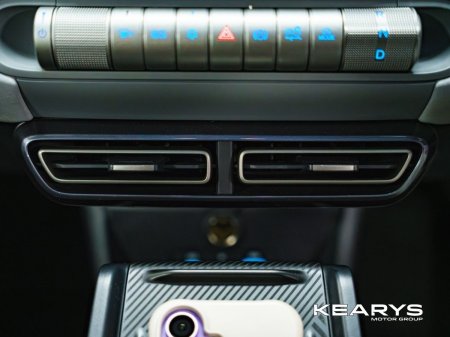2026 BYD DOLPHIN SURF - photo 29