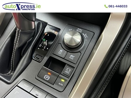 2020 Lexus NX - photo 40