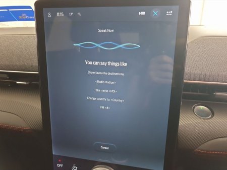 2022 Ford Mustang Mach-E - photo 28