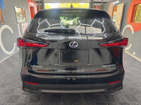 2020 Lexus NX - photo 4