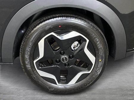 2025 BYD DOLPHIN - photo 6