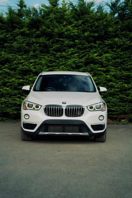 2019 BMW X1 - photo 3