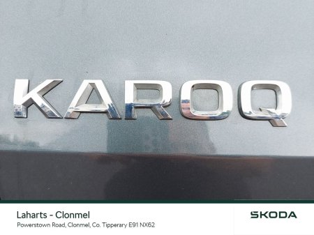2020 Skoda Karoq - photo 51