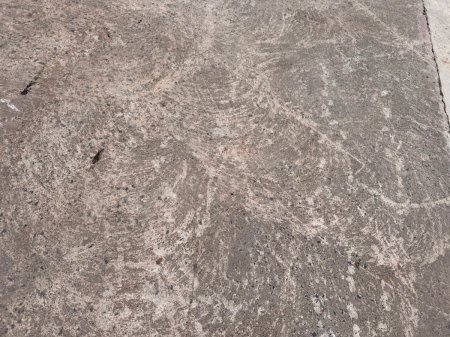 0 Other Other - photo 16