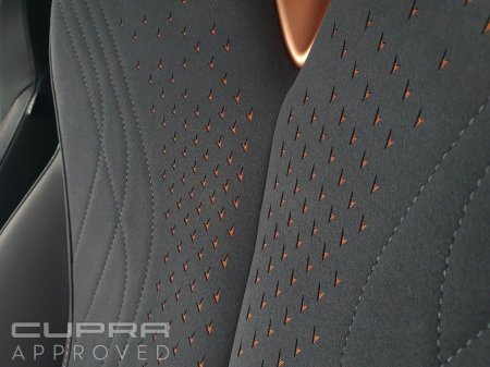 2026 Cupra Tavascan - photo 19