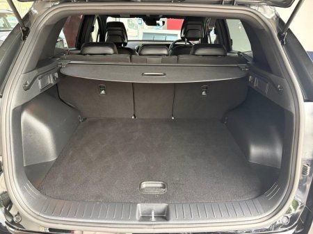 2025 Kia Sportage - photo 5