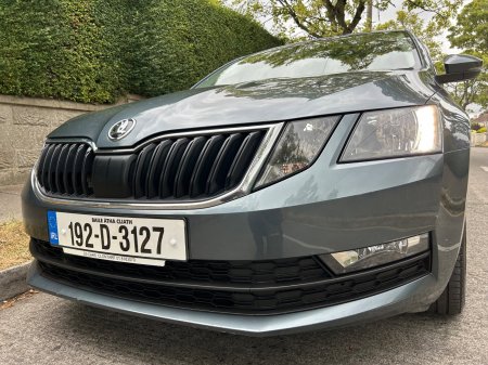2019 Skoda Octavia - photo 3