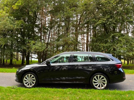 2021 Skoda Octavia - photo 4