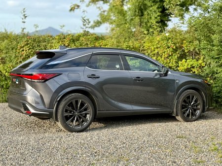 2025 Lexus RX - photo 14