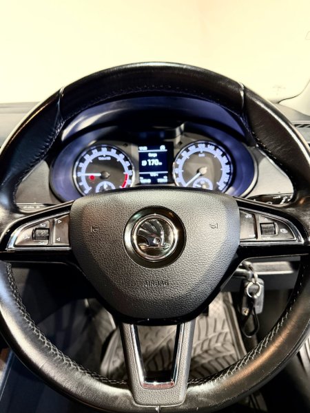 2019 Skoda Octavia - photo 11