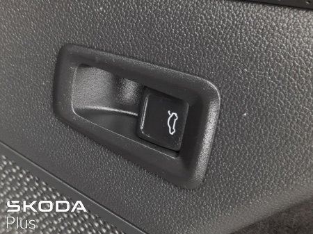 2025 Skoda Kodiaq - photo 3