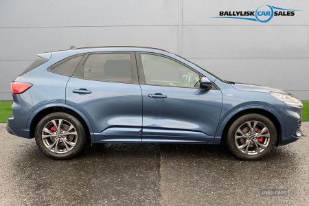 2021 Ford Kuga - photo 3