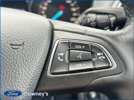 2019 Ford Kuga - photo 11